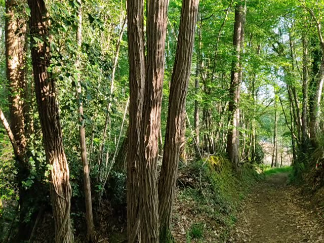 vlcsnap-2021-05-22-08h46m34s091